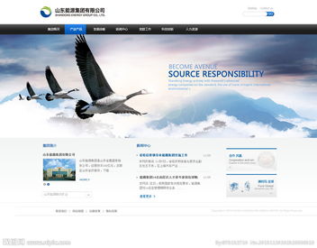 公司網(wǎng)站圖片與計算機網(wǎng)絡(luò)工程 構(gòu)建高效視覺與數(shù)據(jù)交互平臺